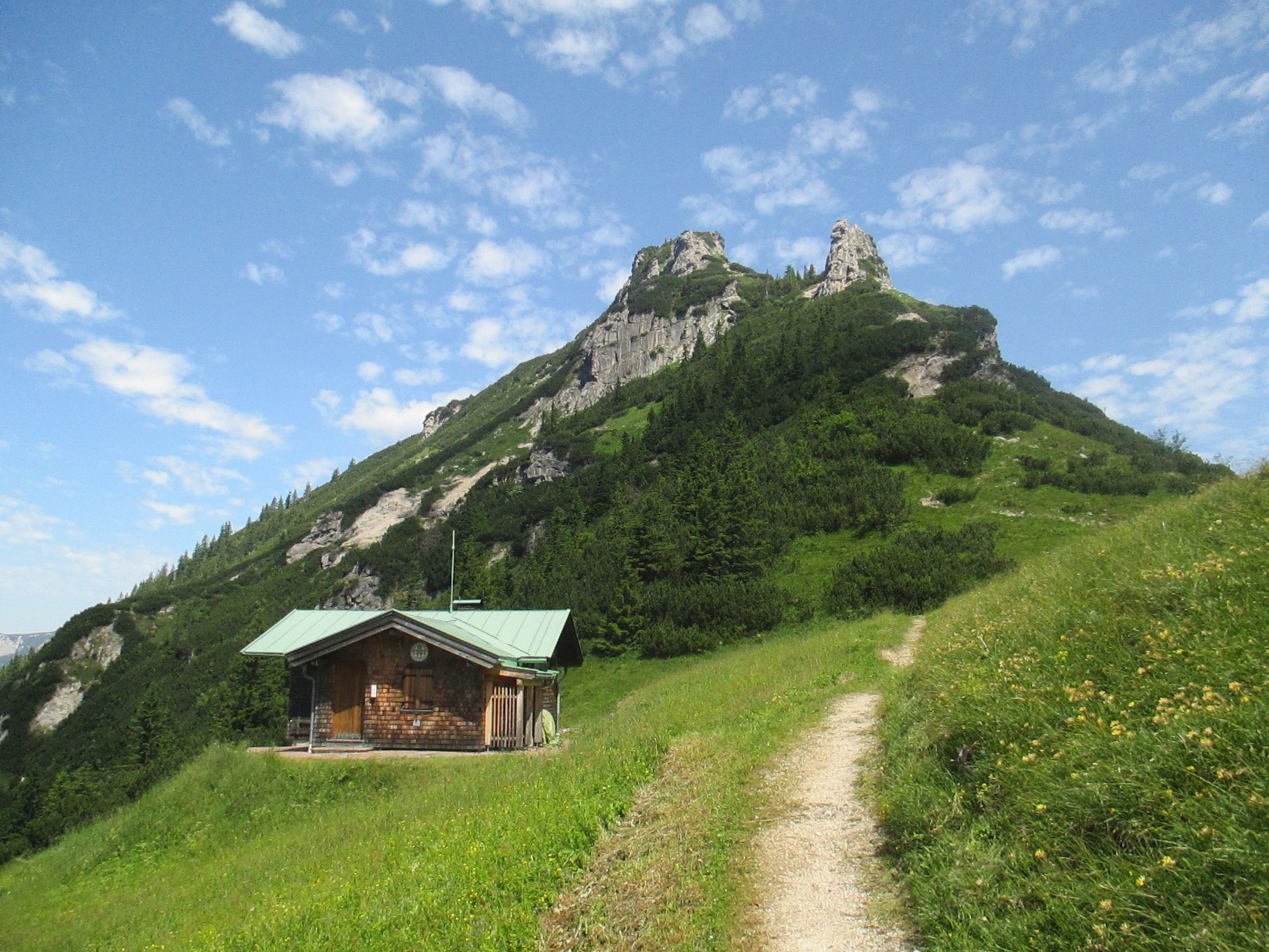 stripsenkopf.jpg